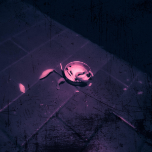 Cover: Disinteressata